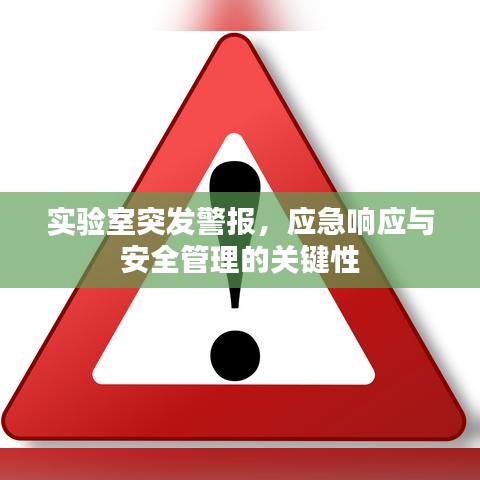 實驗室突發(fā)警報，應(yīng)急響應(yīng)與安全管理的關(guān)鍵性