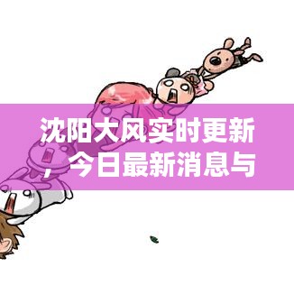 沈陽(yáng)大風(fēng)實(shí)時(shí)更新，今日最新消息與動(dòng)態(tài)