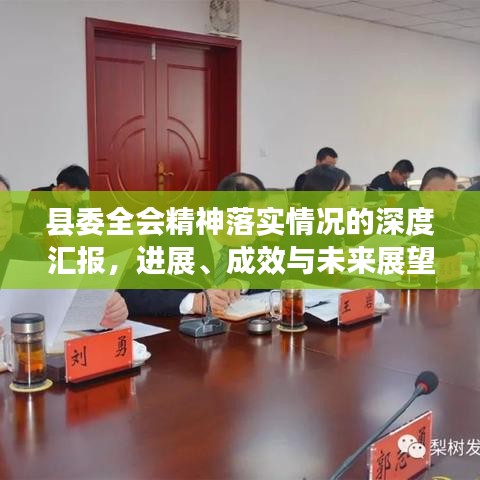 縣委全會(huì)精神落實(shí)情況的深度匯報(bào)，進(jìn)展、成效與未來(lái)展望
