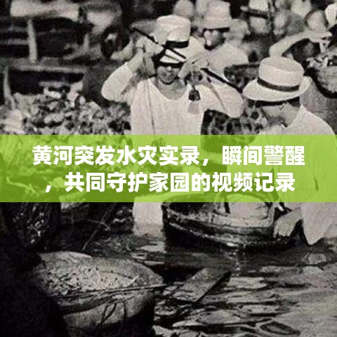 黃河突發(fā)水災(zāi)實錄，瞬間警醒，共同守護家園的視頻記錄