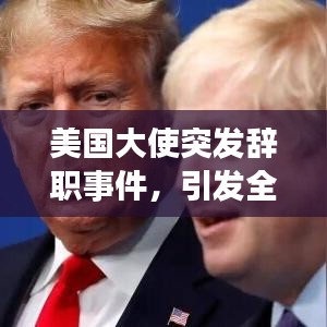 美國大使突發(fā)辭職事件，引發(fā)全球矚目關注！
