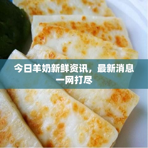 今日羊奶新鮮資訊，最新消息一網(wǎng)打盡
