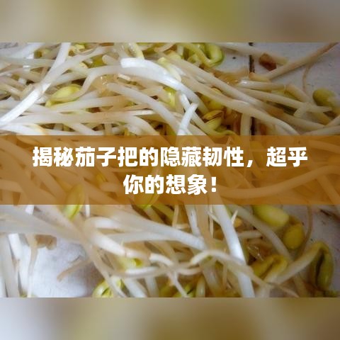 揭秘茄子把的隱藏韌性，超乎你的想象！