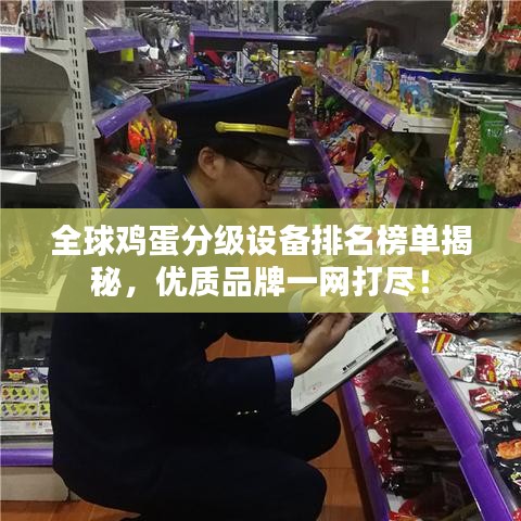 全球雞蛋分級(jí)設(shè)備排名榜單揭秘，優(yōu)質(zhì)品牌一網(wǎng)打盡！
