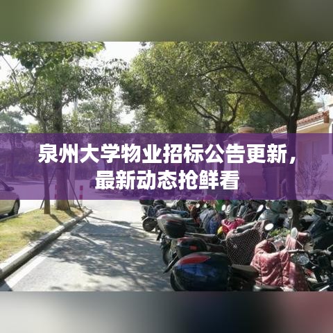 泉州大學(xué)物業(yè)招標(biāo)公告更新，最新動(dòng)態(tài)搶鮮看