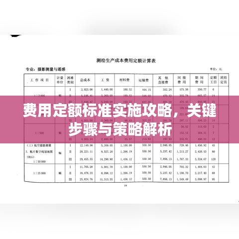費(fèi)用定額標(biāo)準(zhǔn)實(shí)施攻略，關(guān)鍵步驟與策略解析