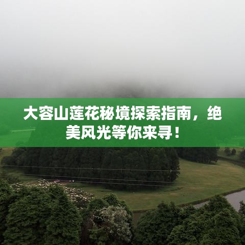 大容山蓮花秘境探索指南，絕美風光等你來尋！