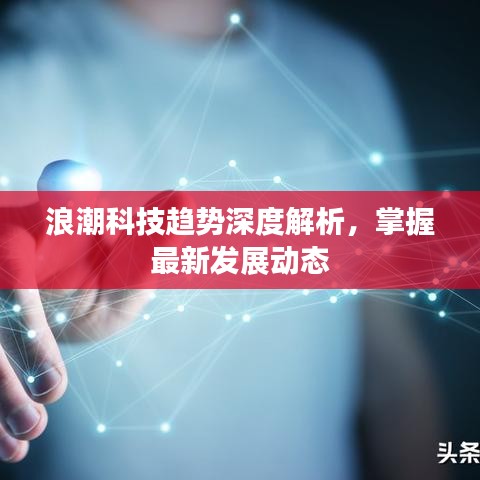 百鳥(niǎo)齊鳴