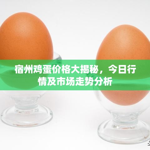 宿州雞蛋價(jià)格大揭秘，今日行情及市場(chǎng)走勢(shì)分析