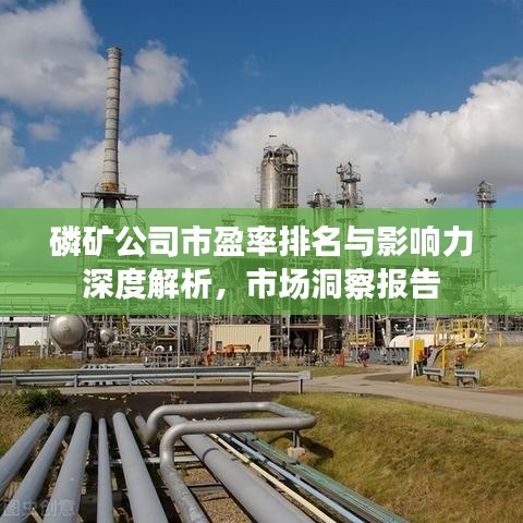 磷礦公司市盈率排名與影響力深度解析，市場洞察報(bào)告