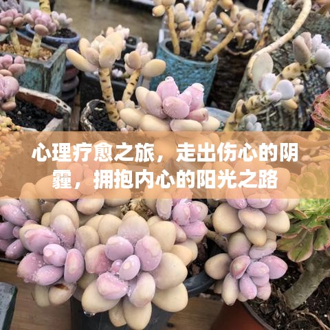 心理療愈之旅，走出傷心的陰霾，擁抱內(nèi)心的陽光之路