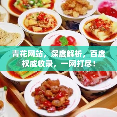 青花網(wǎng)站，深度解析，百度權(quán)威收錄，一網(wǎng)打盡！