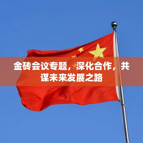 金磚會(huì)議專(zhuān)題，深化合作，共謀未來(lái)發(fā)展之路