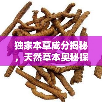 獨(dú)家本草成分揭秘，天然草本奧秘探尋