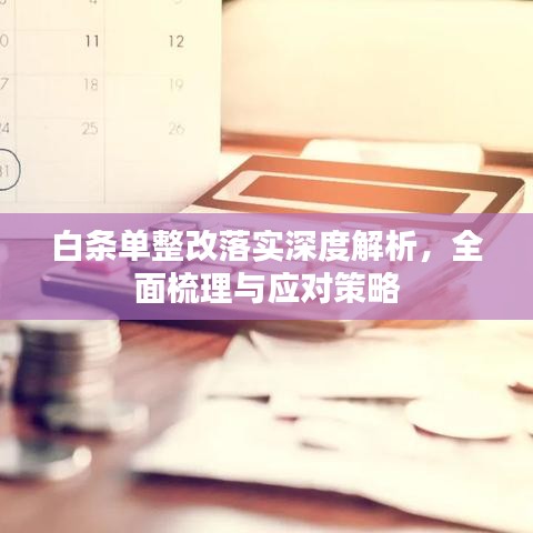 白條單整改落實(shí)深度解析，全面梳理與應(yīng)對(duì)策略