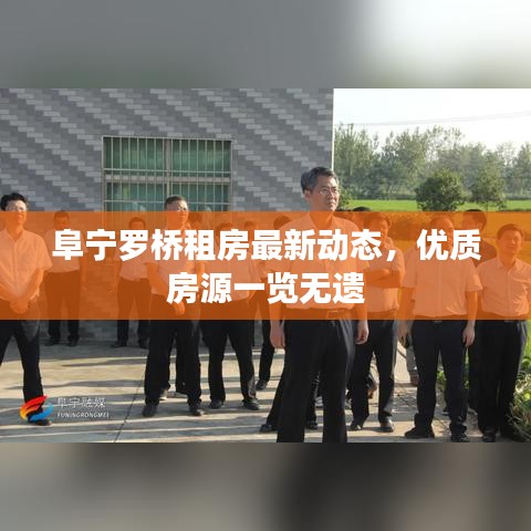 阜寧羅橋租房最新動(dòng)態(tài)，優(yōu)質(zhì)房源一覽無(wú)遺