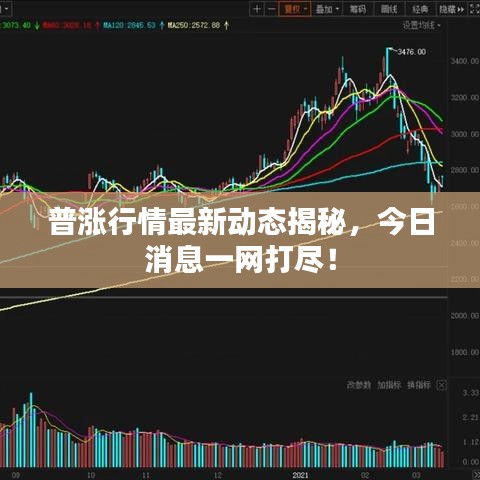 普漲行情最新動(dòng)態(tài)揭秘，今日消息一網(wǎng)打盡！