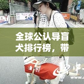 全球公認(rèn)導(dǎo)盲犬排行榜，帶你了解最信賴的盲犬品種！