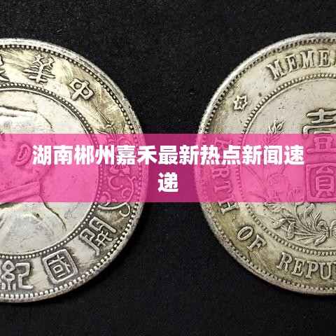 湖南郴州嘉禾最新熱點(diǎn)新聞速遞