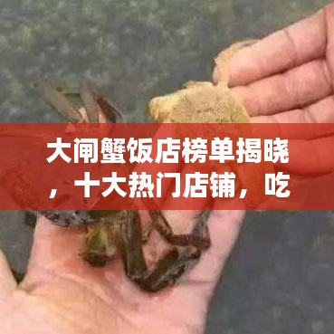 大閘蟹飯店榜單揭曉，十大熱門店鋪，吃貨必知！