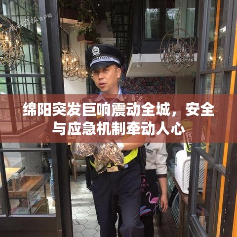 招賢納士 第13頁