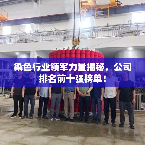 染色行業(yè)領(lǐng)軍力量揭秘，公司排名前十強榜單！