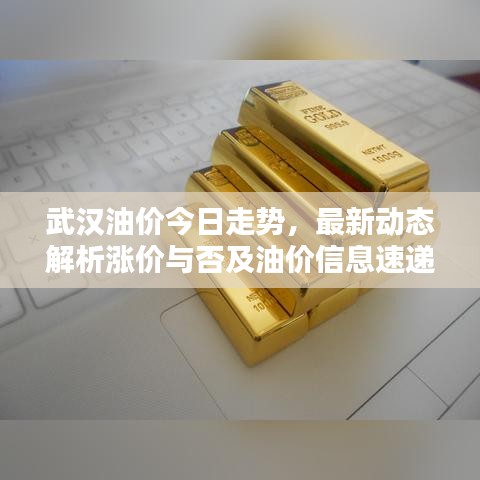 武漢油價今日走勢，最新動態(tài)解析漲價與否及油價信息速遞