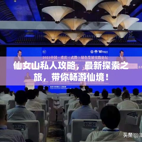 仙女山私人攻略，最新探索之旅，帶你暢游仙境！