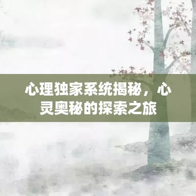 心理獨(dú)家系統(tǒng)揭秘，心靈奧秘的探索之旅