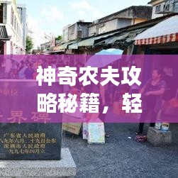 成功案例 第13頁