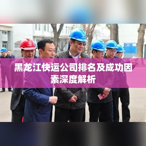 黑龍江快運公司排名及成功因素深度解析