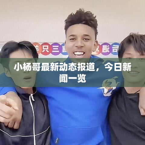小楊哥最新動(dòng)態(tài)報(bào)道，今日新聞一覽