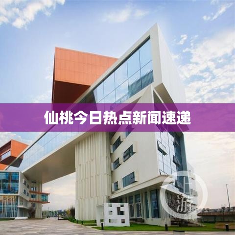 仙桃今日熱點新聞速遞