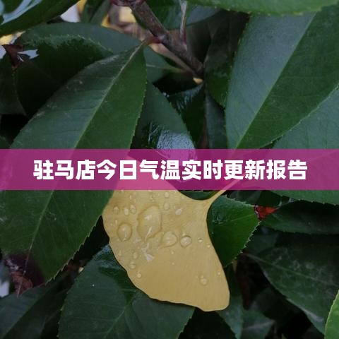 駐馬店今日氣溫實時更新報告