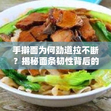 手搟面為何勁道拉不斷？揭秘面條韌性背后的秘密！