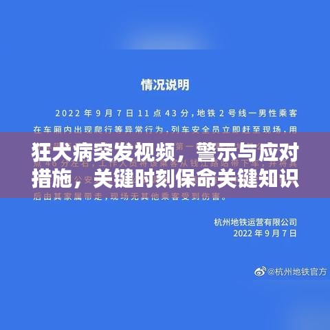 狂犬病突發(fā)視頻，警示與應(yīng)對措施，關(guān)鍵時刻保命關(guān)鍵知識！