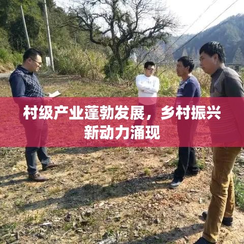 村級(jí)產(chǎn)業(yè)蓬勃發(fā)展，鄉(xiāng)村振興新動(dòng)力涌現(xiàn)