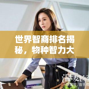 世界智商排名揭秘，物種智力大比拼