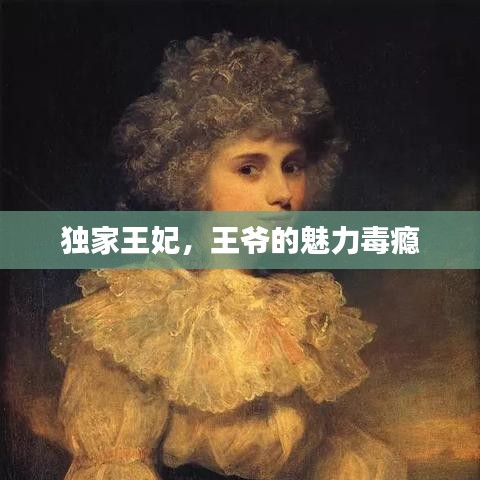 獨(dú)家王妃，王爺?shù)镊攘Χ景a