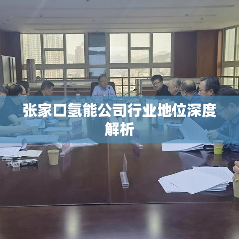 張家口氫能公司行業(yè)地位深度解析