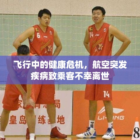 飛行中的健康危機(jī)，航空突發(fā)疾病致乘客不幸離世
