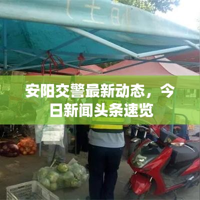 安陽(yáng)交警最新動(dòng)態(tài)，今日新聞?lì)^條速覽
