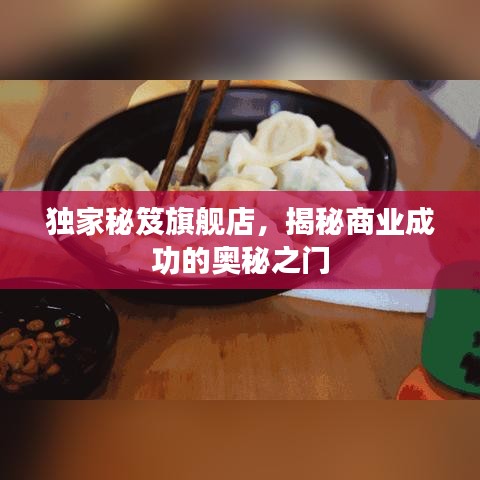 獨(dú)家秘笈旗艦店，揭秘商業(yè)成功的奧秘之門