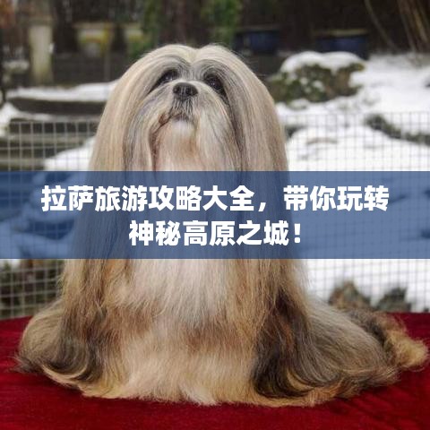 拉薩旅游攻略大全，帶你玩轉(zhuǎn)神秘高原之城！