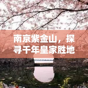 南京紫金山，探尋千年皇家勝地的魅力所在！
