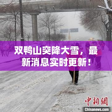 雙鴨山突降大雪，最新消息實(shí)時(shí)更新！
