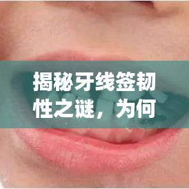 揭秘牙線簽韌性之謎，為何強(qiáng)韌不斷，表現(xiàn)卓越？
