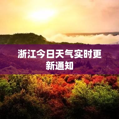 浙江今日天氣實時更新通知