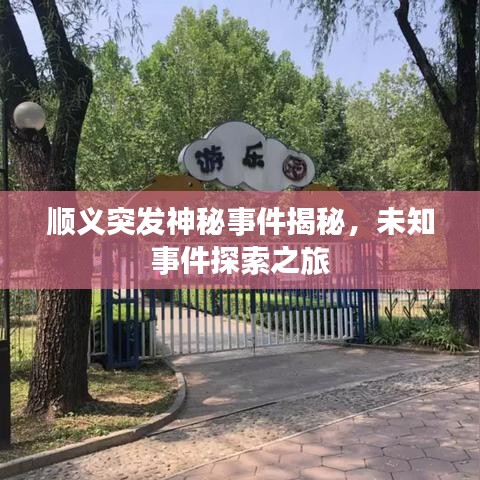 順義突發(fā)神秘事件揭秘，未知事件探索之旅
