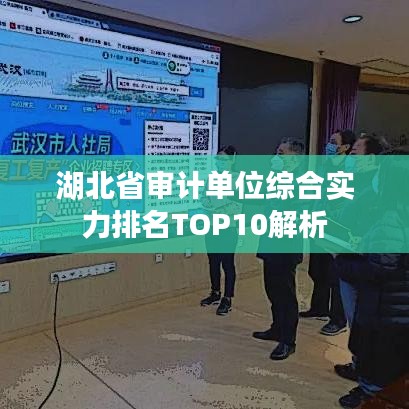 湖北省審計(jì)單位綜合實(shí)力排名TOP10解析